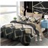 Set Lenjerie Eleganta din Finet , cu imprimeu deosebit, pentru pat dublu, 6 piese: Cearceaf de pat cu elastic 180 x 200 cm, Cearceaf pilota 200 x 230 cm, 2 fete de perna 55 x 80 cm, 2 fete de perna 70 x 70 cm, BB-6007