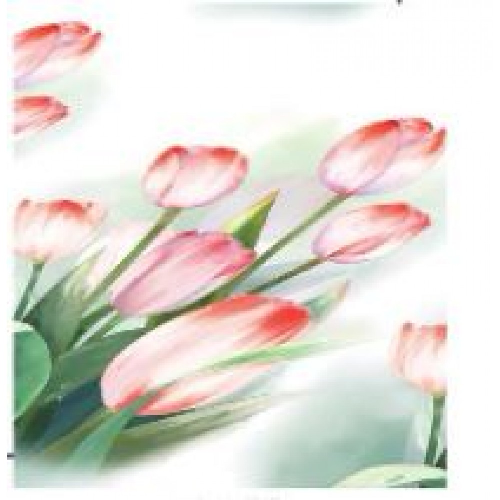 Husa de pat dublu cu elastic si 2 fete de perna 160x200cm, Pat 2 Persoane, H-153