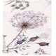 Husa de pat dublu cu elastic si 2 fete de perna 160x200cm, Pat 2 Persoane, H-162