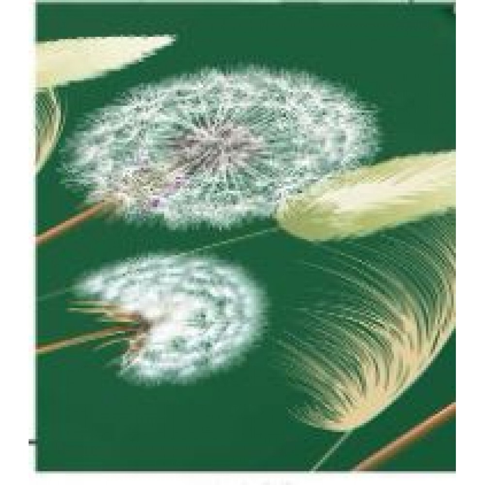 Husa de pat dublu cu elastic si 2 fete de perna 160x200cm, Pat 2 Persoane, H-163