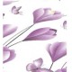 Husa de pat dublu cu elastic si 2 fete de perna 160x200cm, Pat 2 Persoane, H-160