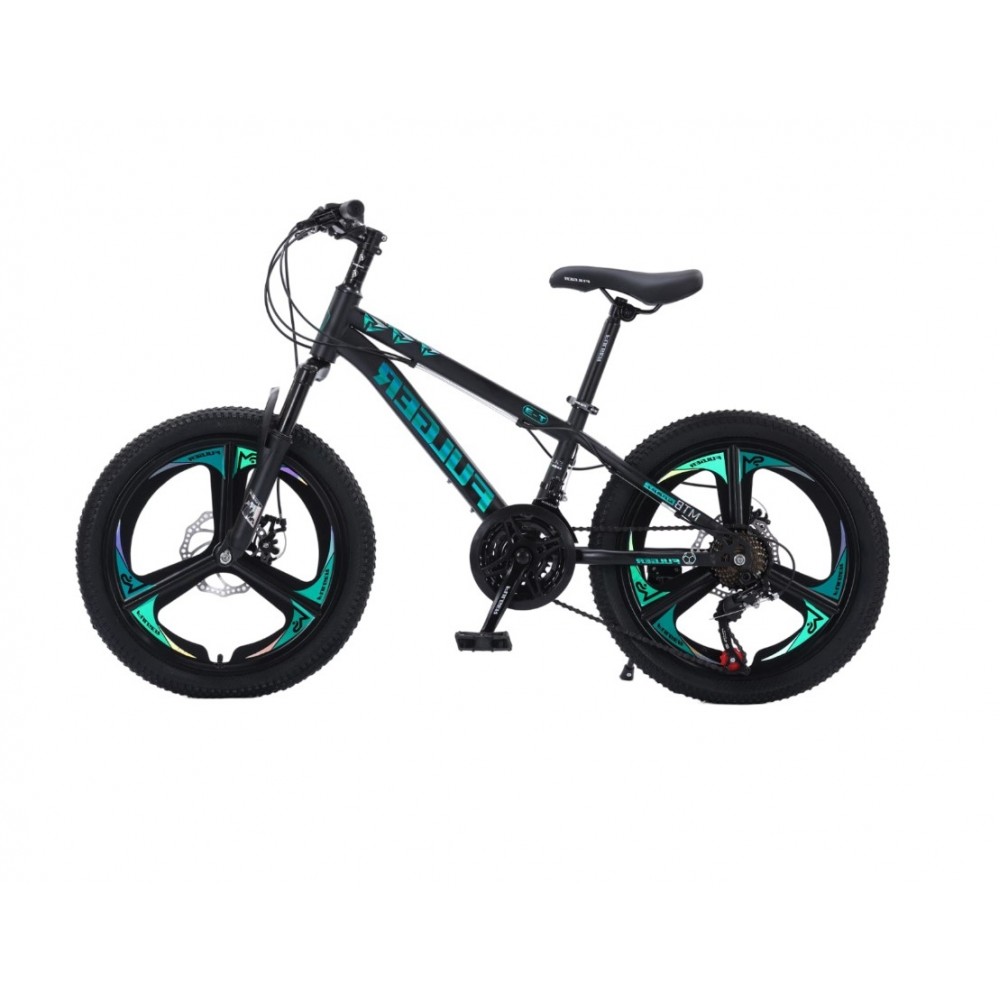 Bicicleta FULGER, cu 3 Spite, 20 inch, pentru copii 6-12ani, Multiple Viteze, Verde, 20 T3 Bicicleta FULGER, cu 3 Spite, 20 inch, pentru copii 6-12ani, Multiple Viteze, Verde, 20 T3