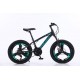 Bicicleta FULGER, cu 3 Spite, 20 inch, pentru copii 6-12ani, Multiple Viteze, Verde, 20 T3 Bicicleta FULGER, cu 3 Spite, 20 inch, pentru copii 6-12ani, Multiple Viteze, Verde, 20 T3