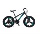 Bicicleta FULGER, cu 3 Spite, 20 inch, pentru copii 6-12ani, Multiple Viteze, Verde, 20 T3 Bicicleta FULGER, cu 3 Spite, 20 inch, pentru copii 6-12ani, Multiple Viteze, Verde, 20 T3