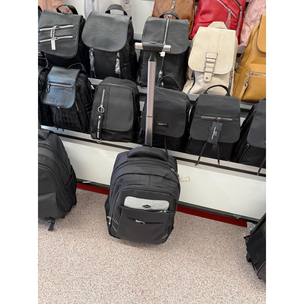 Ghiozdan tip troler pentru Calatorii si scoala cu carcasa tare, cu roti, GZ101