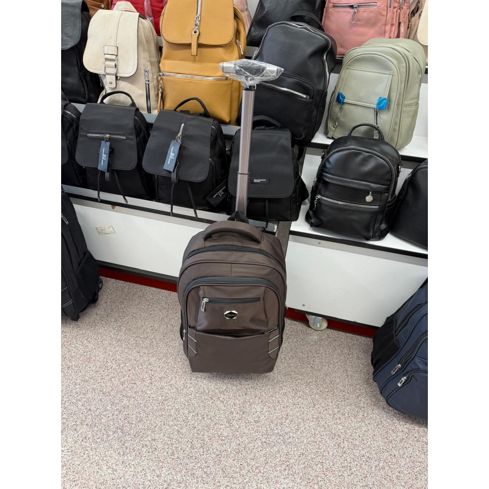 Ghiozdan tip troler pentru Calatorii si scoala cu carcasa tare, cu roti, GZ102