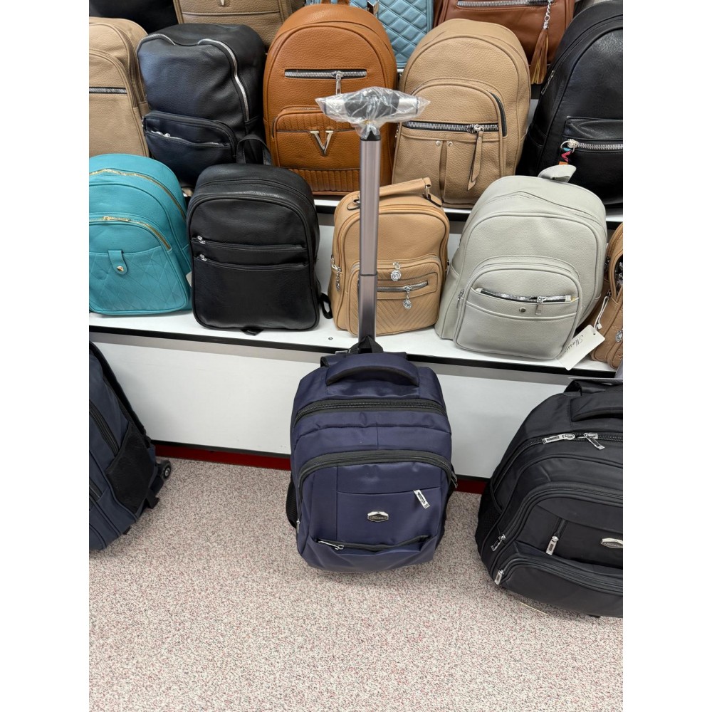 Ghiozdan tip troler pentru Calatorii si scoala cu carcasa tare, cu roti, GZ104