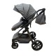 Carucior 2 in 1 Reversibil, Landou si Sport, copertina extensibil, geanta pentru scutece, 0-36 luni, T8-Gri