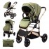 Carucior 2 in 1 transformabil, 0-36 luni, Cu suspensii, Maner reversibil, Pozitie de somn si sezut, colectia de lux, F3-Verde