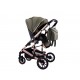 Carucior 2 in 1 transformabil, 0-36 luni, Cu suspensii, Maner reversibil, Pozitie de somn si sezut, colectia de lux, F3-Verde
