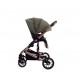 Carucior 2 in 1 transformabil, 0-36 luni, Cu suspensii, Maner reversibil, Pozitie de somn si sezut, colectia de lux, F3-Verde