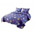 Cuvertura pentru pat dublu 3 piese din Bumbac Satinat 220x240 cm si 2 feţe de pernă, CVT-24