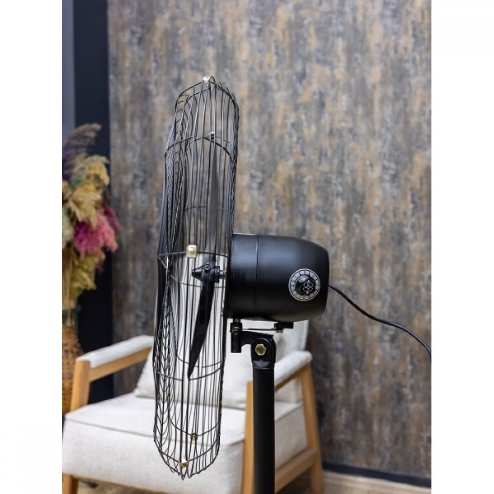 Ventilator Zilan cu picior sau pentru perete, Diametru grilaj 68 cm, Putere 130W, Pozitie fixa sau oscilanta