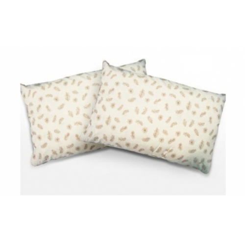 SET Pilota +2 perne 70x70 din puf de gasca-SPPG2