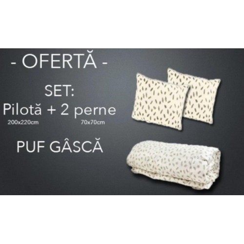 SET Pilota +2 perne 70x70 din puf de gasca-SPPG2