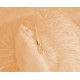 Lenjerie de pat dublu Cocolino 4 piese, Super Pufoasa LFS6 LENJERII COCOLINO FLUFFY 4 PIESE