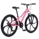 Bicicletă Caraiman, roți 24 sau 26 inch, cadru oțel, frâne pe disc, ROZ, TBA2 BICICLETE ADULTI