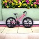 Bicicletă Caraiman, roți 24 sau 26 inch, cadru oțel, frâne pe disc, ROZ, TBA2 BICICLETE ADULTI
