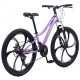 Bicicletă Caraiman, roți 24 sau 26 inch, cadru oțel, frâne pe disc, MOV, TBA3 BICICLETE ADULTI