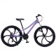 Bicicletă Caraiman, roți 24 sau 26 inch, cadru oțel, frâne pe disc, MOV, TBA3 BICICLETE ADULTI