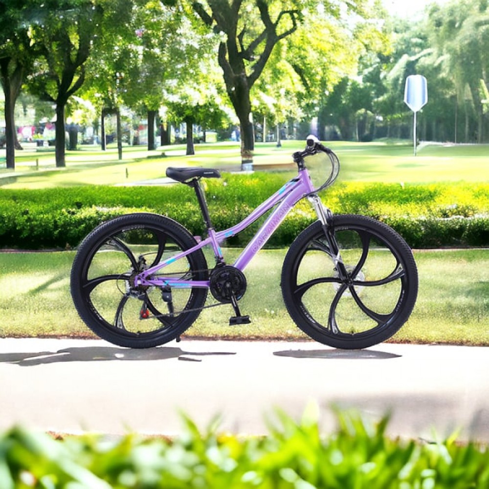Bicicletă Caraiman, roți 24 sau 26 inch, cadru oțel, frâne pe disc, MOV, TBA3 BICICLETE ADULTI
