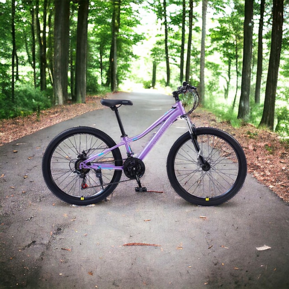 Bicicletă Caraiman, roți 24 sau 26 inch, cadru oțel, frâne pe disc, MOV, TBA6 BICICLETE ADULTI