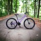 Bicicletă Caraiman, roți 24 sau 26 inch, cadru oțel, frâne pe disc, MOV, TBA6 BICICLETE ADULTI
