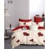 Lenjerie de pat dublu Bumbac FINET, pentru 2 persoane, 6 piese, Cearceaf de pat  230 x 250cm, CF113