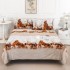 PATURA COCOLINO SOFT 200*230 + 2 FETE DE PERNA 52*78 PC2FPP6