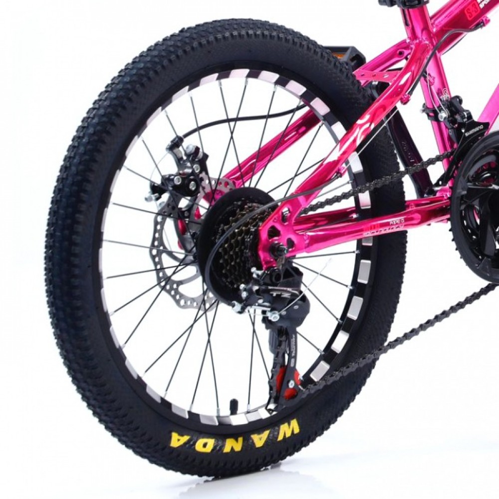 Bicicletă Caraiman, roți 20, cadru oțel, frâne pe disc, 20 CR roz BICICLETE COPII