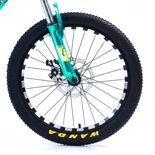 Bicicletă Caraiman, roți 20, cadru oțel, frâne pe disc, 20 CR Verde