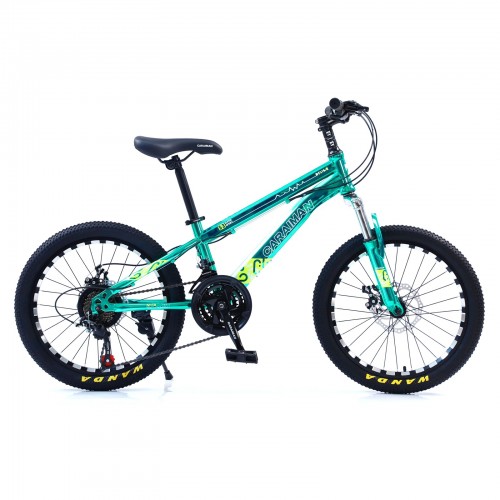 Bicicletă Caraiman, roți 20, cadru oțel, frâne pe disc, 20 CR Verde