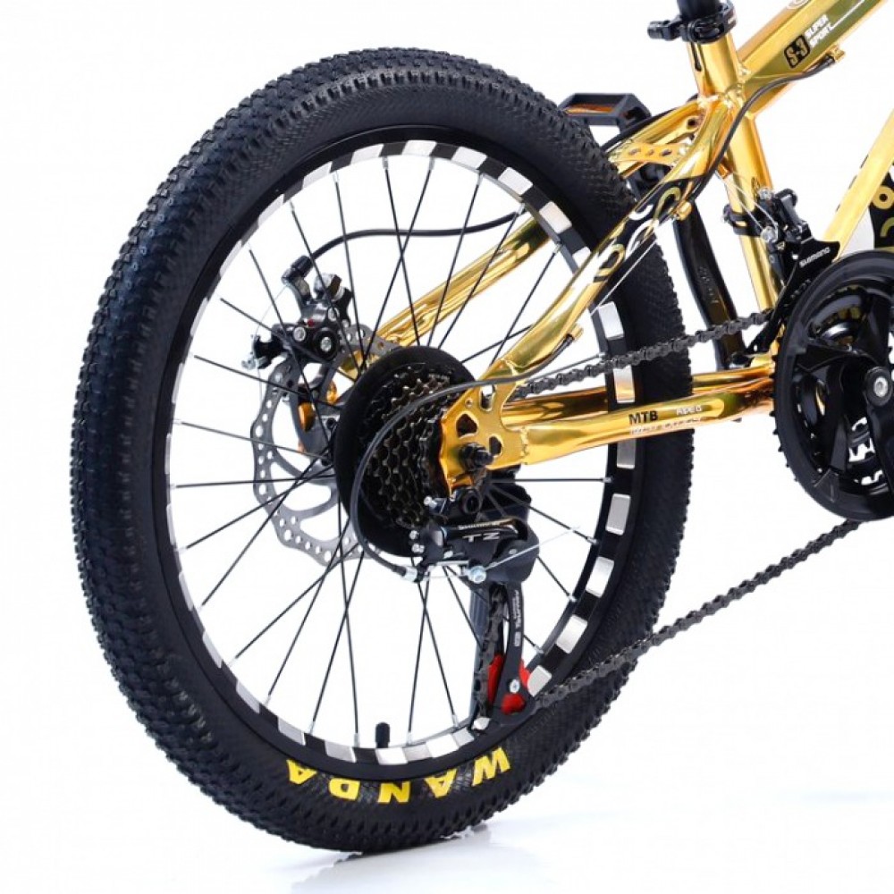 Bicicletă Caraiman, roți 20, cadru oțel, frâne pe disc, 20 CR roz BICICLETE COPII