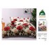 Lenjerie de Pat 2 Persoane 4 Piese cu Elastic – Model Modern, CEARCEAF CU ELASTIC 180X200,LTY4