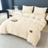 Lenjerie Cocolino pat dublu ,tip raiat,  4 piese, cu ELASTIC 180X200  LCTRC3