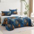 Set 3 Cuvertura dubla de lux din Catifea, Cuvertura de 230x250 cm, Cu 2 fete de perna 55 x 75cm, CVCP13