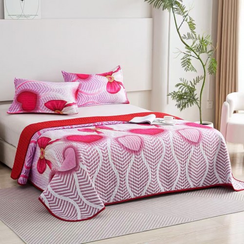 Set 3 Cuvertura dubla de lux din Catifea, Cuvertura de 230x250 cm, Cu 2 fete de perna 55 x 75cm, CVCP16