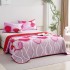 Set 3 Cuvertura dubla de lux din Catifea, Cuvertura de 230x250 cm, Cu 2 fete de perna 55 x 75cm, CVCP16