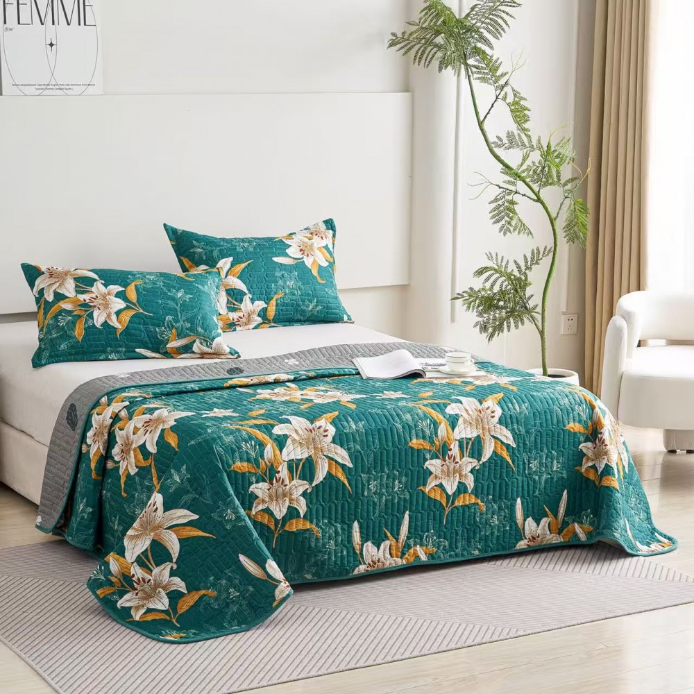 Set 3 Cuvertura dubla de lux din Catifea, Cuvertura de 230x250 cm, Cu 2 fete de perna 55 x 75cm, CVCP19 Cuverturi catifea