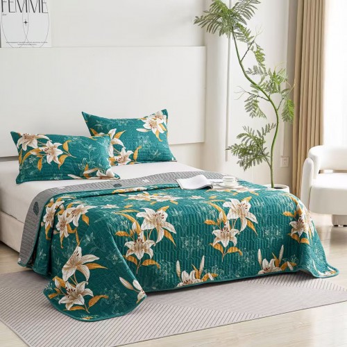 Set 3 Cuvertura dubla de lux din Catifea, Cuvertura de 230x250 cm, Cu 2 fete de perna 55 x 75cm, CVCP19