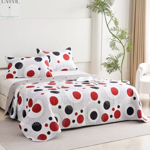 Set 3 Cuvertura dubla de lux din Catifea, Cuvertura de 230x250 cm, Cu 2 fete de perna 55 x 75cm, CVCP24
