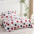 Set 3 Cuvertura dubla de lux din Catifea, Cuvertura de 230x250 cm, Cu 2 fete de perna 55 x 75cm, CVCP24