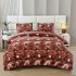 Lenjerie Cocolino pat dublu ,tip raiat,  4 piese, cu ELASTIC 180X200  LCTRS3