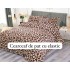 Lenjerie Cocolino ,4 piese cu elastic , LCSE15