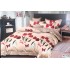 Set Lenjerie de Pat din Finet, 6 Piese, Pat 2 Persoane, LF6PMRY15