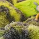 Lenjerie De Pat Pufoasa FLUFFY - Gri & Verde LENJERII COCOLINO FLUFFY
