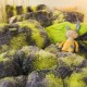 Lenjerie De Pat Pufoasa FLUFFY - Gri & Verde LENJERII COCOLINO FLUFFY